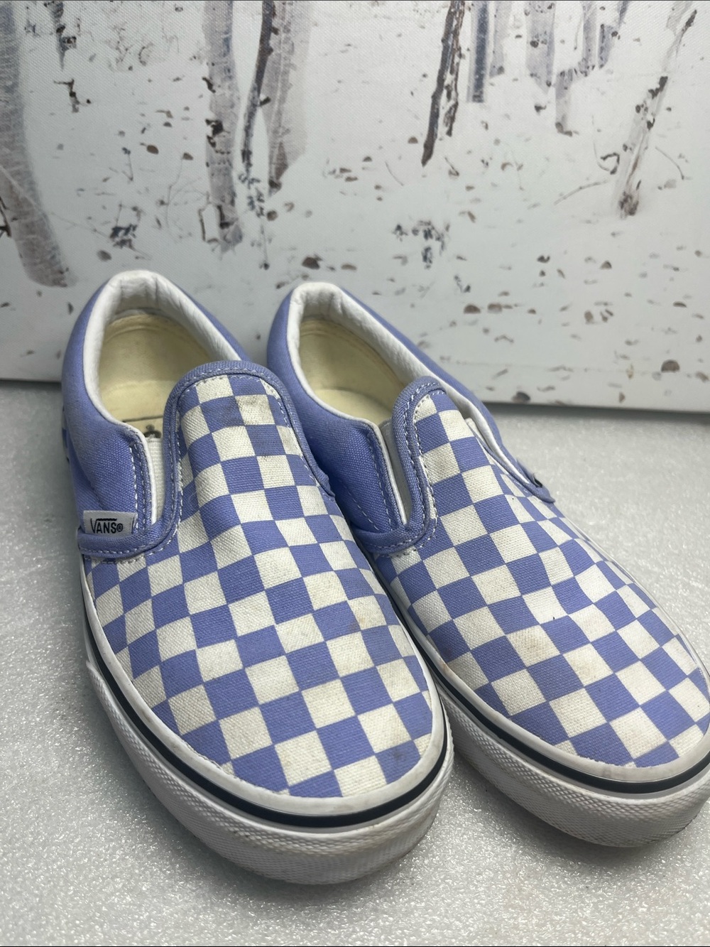 Vans Checkered Iris Slip Ons Kids sz 2.5
